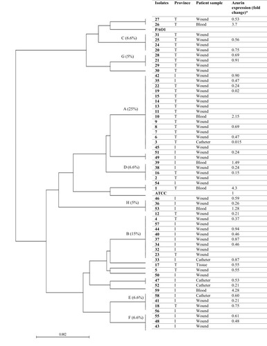 Figure 3 UPGMA dendrogram of P. aeruginosa clinical strains based on the difference in the nucleotides of azurin gene sequences. P. aeruginosa ATCC27853 and PAO1 were used as control. Each strain is presented based on the geographical region of its isolation, clinical sample, and gene expression fold change. T: Tehran, I: Isfahan.