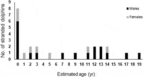 Figure 4. Age distribution of Stenella coeruleoalba analyzed here (n = 25) using tooth sections