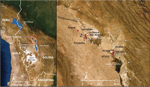 Figure 1. Study area including the Central Altiplano, Wankarani early pastoralist sites (white circles) and archaeological sites that were sampled for this study (red circles).
