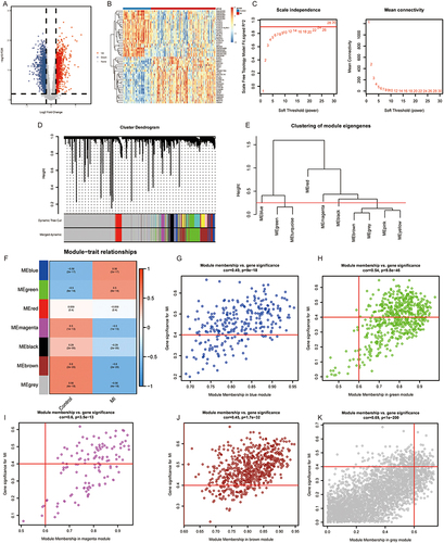 Figure 2 WGCNA. (A and B) Volcano plot (A) and heatmap (B) of DEGs between MI and control samples. (C) Scale Independence and mean connectivity analysis. (D) A cluster dendrogram of 7 modules. (E) Clustering of module eigengene. (F) The module trait relationship. (G–K) Scatter plots of gene significance for MI vs the module membership in the blue (G), green (H), magenta (I), brown (J), and grey (K) modules.