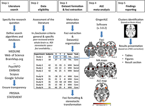 Figure 2 Workflow stages of the activation likelihood estimation (ALE) method.