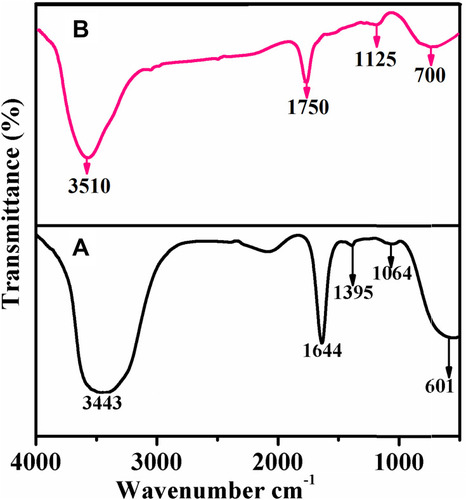 Figure 4 FT-IR spectra of (A) Neat extract and (B) extract containing AuNPs synthesized from Acalypha indica.Abbreviations: FT-IR, fourier transform-infrared; AuNPs, gold nanoparticles.