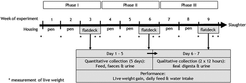 Figure 1. Experimental setup of the balance trial with barrows fed the control diet (CON) and the diet with reduced nitrogen and phosphorus concentrations (NPred) in a 3-phased feeding regimen.