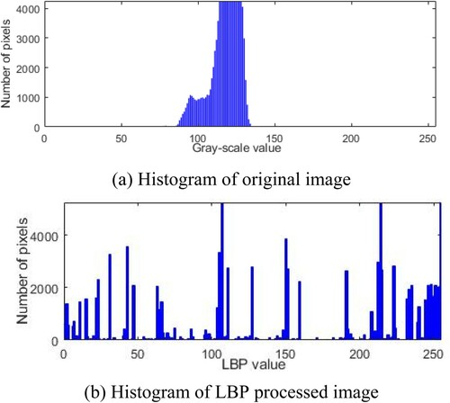 Figure 8. Comparison of histograms between original image and LBP processed image.