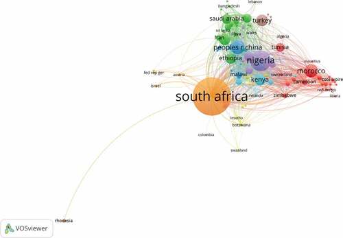 Figure 1. Social network illustrating collaborations at the national level between institutions to which the authors of African health articles are affiliated with.