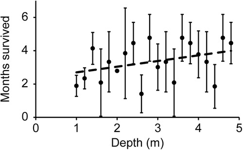 Figure 5. Average (± SD) number of months survived (August to February) per individual as a function of depth for vertical lines (n = 3). Linear regression (dotted line): F1,18 = 2.77, P = 0.11, R2 = 0.13.