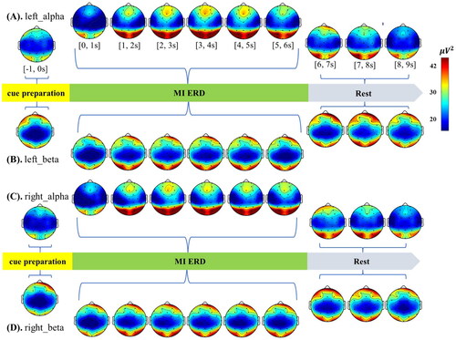 Figure 2. Topography of the alpha and beta bands during the left- and right-hand MI. (A) topography of the alpha band during the left MI task; (B) topography of the beta band during the left MI task; (C) topography of the alpha band during the right MI task; (D) topography of the beta band during the right MI task. The color bar on the right side represents the power value of all the topographies (the redder the color is, the greater the power value). The cue preparation was in [−1, 0 s], the MI ERD was in [0, 6 s], and the rest was in [6, 9 s].