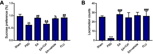 Figure 2 Improvement in depressive-like behaviors of PSD. (A) Effect of EA treatment on SPT; (B) changes in locomotion activity after EA treatment. Values are presented as means ± SEM, with eight rats in each group. **P<0.01 versus sham group; ***P<0.001 versus sham group; ##P<0.01 versus PSD group; ###P<0.001 versus PSD group; &&P<0.01 versus EA group; %P<0.05 versus EA + Cyc group.