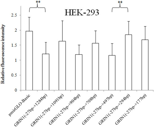 Figure 2 Relative fluorescence intensities of the pmirGLO basic vector and seven recombinant vectors with the 3ʹ end deletion in the HEK-293 cell line. The relative intensity of the 3ʹUTR complete sequence ranging from − 27 bp to + 1284 bp was significantly decreased. The sequence +295 bp to +497 bp showed an inhibitory effect on protein expression in HEK-293 cells. The relative fluorescence intensity is expressed as the mean ± standard deviation, and the difference in relative fluorescence intensity between adjacent sequences was determined by the least significant difference-t-test. **0.001 < p < 0.02.