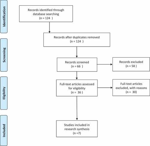 Figure 1. Literature review document filtering process