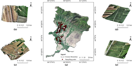 Figure 1. Spatial distribution map of the study area and validation plots. In (a), the study area is depicted, with b-e representing the spatial distribution of four validation plots. The red dots indicate ground survey sampling points. The left and right sides of (b, c, d, and e) indicate the schematic diagrams of the four validation samples taken by the UAV.