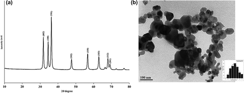 Figure 3. Results of analysis of ZnO nanocrystals by (a) TEM (b) XRD.