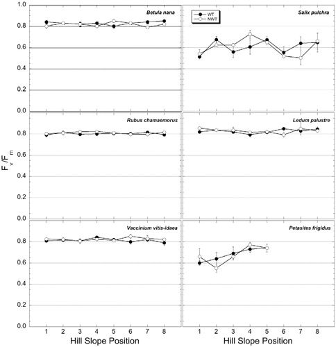 FIGURE 2. Efficiency of energy transfer within the PSII reaction centers of the electron transport system (FVFm—variable to maximum fluorescence) as a function of hill slope position (1 is the ridgeline, 8 near the stream bed) in the Imnavait Creek Watershed. Closed symbols are from within the water tracks, and the open symbols are from the non-water tracks. Each point is the mean of three dark adapted measurements on different leaves at each location and is subtended by the standard error of the mean.