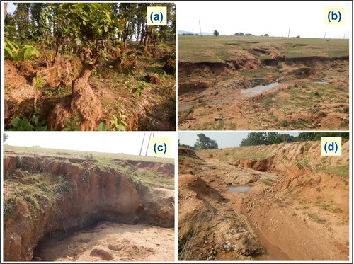 Figure 6. Some erosion prone areas of this study region.