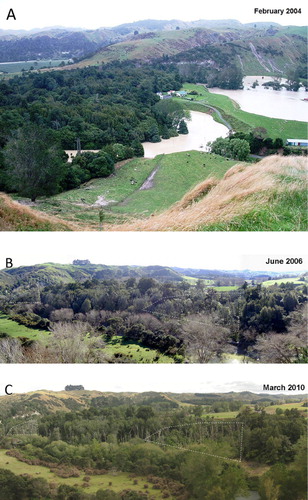 Figure 2 A, Overview of McPherson's Reserve from the east, with the flood flowing down the Turakina River (from the top right), backing up along the gully through the reserve to extend over low-lying farmland at the upper end of the gully (underneath the farmhouse in the centre of the photo). The Turakina Valley road enters the photo under the woolshed, right centre, to disappear under the floodwaters visible at the margin of the reserve in lower left. The sampled plots are in the middle of the far left of the image. Image: Bill Luxton, 17 February 2004; B, Immediate impacts of the flood, looking upstream and north in July 2006. The Turakina River winds around the reserve to the left, and is hidden in the centre foreground by exotic willows, here leafless. Dieback in the Gully and Riverine Transect areas are outlined with dotted line. Image: GL Rapson; C, Effect of the flood in March 2010 (late summer; willows leafy), with the gully area deforested, and Riverine Transect area, to the extreme left of the image, leafless. Image: GL Rapson.