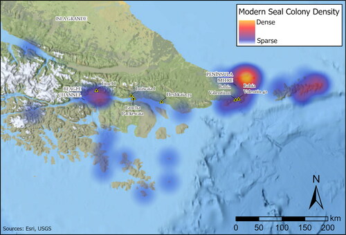 Figure 5. Distribution densities of modern seal colonies in southern Tierra del Fuego, after Martinoli (Citation2018), presented here as a heat map for visual clarity.