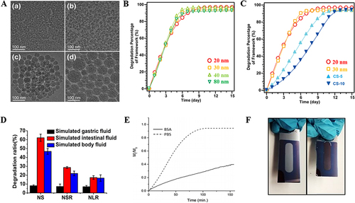 Figure 1 Degradation of MSNs by regulating physicochemical properties.