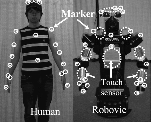 Figure 2. Human and robot.