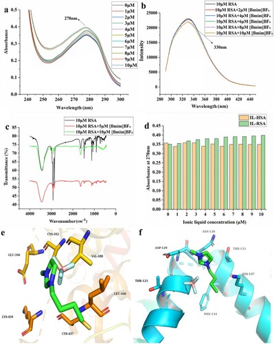 Figure 4. (a) UV spectra with different [Bmim]BF4 concentrations; (b) fluorescence spectra with different [Bmim]BF4 concentrations and the fluorescence of the combined solution without or with 10 μM [Bmim]BF4 under 280 nm; (c) IR spectra of RSA with different [Bmim]BF4 concentrations; (d) the absorbance of the complex formed by the mixture of [Bmim]BF4 and two kinds of serum albumin at 278 nm; molecular docking diagram of the interactions between [Bmim]BF4 (green, blue, pink and cyanic sticks) and (e) RSA amino acid residues (yellow fragments) or (f) HSA amino acid residues (cyanic fragments).