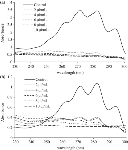 Figure 2. Effect of different concentrations of BSEO on ergosterol content in the plasma membrane of A. flavus (a) and F. verticillioides (b).