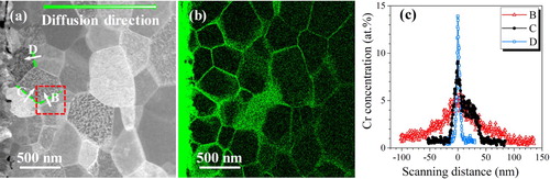 Figure 3. Cross-sectional (a) HAADF-STEM image and (b) EDS Cr mapping in the surface layer of the SMRT sample chromized at 500°C for 720 min. (c) shows the Cr profiles across 3 different GBs as marked in (a), with corresponding zero positions indicated by green dashed lines.