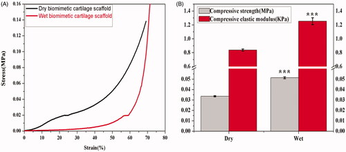 Figure 3. Compressive properties of biomimetic cartilage scaffold. The stress-strain curve of (A) dry and wet biomimetic cartilage scaffolds; Compressive strength and elastic modulus of (B) dry and wet biomimetic cartilage scaffolds (n = 3, ***p < .001).