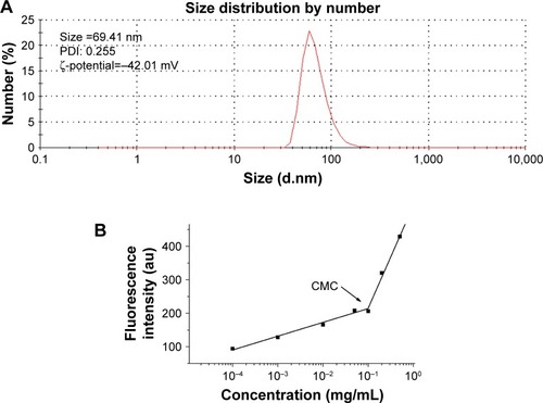 Figure 2 (A) Dynamic light scattering size measurement of Na2GA/SN-38 nanoparticles. (B) The CMC value of Na2GA/SN-38-BM. (C) Transmission electron micrograph (TEM) of Na2GA/SN-38 nanoparticles, the magnification from left to right was 80,000×, 100,000×, 150,000×. (D) The stability of Na2GA/SN-38-BM. (E) DSC thermograms of (a) SN-38, (b) Na2GA, (c) Na2GA/SN-38-BM, (d) Na2GA/SN-38-UM. (F) X-ray powder diffraction spectra of (a) SN-38, (b) Na2GA, (c) Na2GA/SN-38-BM, (d) Na2GA/SN-38-UM. (G) The electron micrographs of (a) Na2GA, (b) SN-38, (c) Na2GA/SN-38-UM, (d) Na2GA/SN-38-BM.Abbreviations: CMC, critical micelle concentration; PDI, polydispersity index.