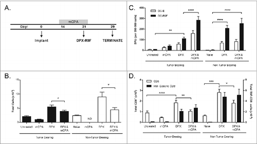 Figure 3. mCPA enhancement of immune response in lymph node due to enrichment of antigen-specific CD8+ T cells. (A) Description of treatment mice used for assays in (B–D). Mice were implanted with C3 tumors on day 0 and then treated with metronomic cyclophosphamide (mCPA) for one week over days 14–21, or DepoVax containing 10 μg R9F-PADRE (DPX-R9F) on day 21, or the combination. Controls included untreated tumor-bearing mice and non-tumor bearing mice treated in parallel. On day 29, 8 d after vaccination, mice were terminated and vaccine-draining lymph nodes were collected. Lymph nodes were dissociated and constituent cells counted (B), used in ELISPOT assay (C) and analyzed by flow cytometry (D). (B) Total lymph node cell counts, n = 12–20. (C) Lymph node cells were stimulated overnight in interferon γ (IFNγ) ELISPOT plate with unloaded dendritic cells (DC-E) or R9F-loaded dendritic cells (DC-R9F); n = 12–20. (D) Immunofluorescent staining of lymph node cells using fluorophore-conjugated anti-CD8 antibody and R9F-dextramers and cytofluorimetric analysis to determine the percentage of CD8+ cells and antigen-specific CD8+ cells; total number of cells calculated from cell counts. Statistical analysis was performed by one-way ANOVA with Tukey post-hoc test; *P < 0.05, **P < 0.01, ***P < 0.001; ND: not detected (lymph nodes too small for analysis). Results are pooled from 5 separate experiments.