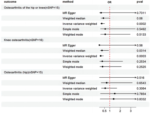 Figure 2 Mendelian randomization forest plot, after removing heterogeneity, depicting the impact of walking on OA.