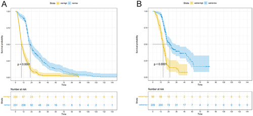 Figure 5 Kaplan-Meier curves of unresectable hepatocellular carcinoma patients in the low-risk and high-risk groups in training cohort (A) and validation cohort (B).