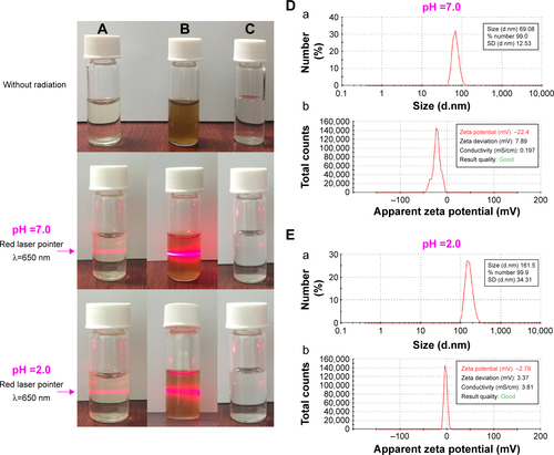 Figure S3 Faraday–Tyndall effect, zeta potential, and size of AERL in pH 7.0 and pH 2.0 water.Notes: (A) 0.5 mg/mL of AERL. (B) 15 mg/mL of AERL. (C) Distilled water. (D) Size (a) and zeta potential (b) of AERL in pH 7.0 water (0.5 mg/mL). (E) Size (a) and zeta potential (b) of AERL in pH 2.0 water (0.5 mg/mL).Abbreviations: AERL, aqueous extract of Rabdosia rubescens leaves; SD, standard deviation.