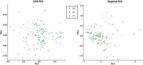 Figure 5. Principal component analysis of PON1 methylation data. PCA was performed on both datasets, Illumina HumanMethylationEPIC BeadChip (EPIC PCA; left) and Roche Nimblegen, SeqCap Epi enrichment system (targeted PCA; right), using only the methylation data from the selected 14 CpG sites. First and second principal components are plotted from both analyses, with added colour based on PON1−108 polymorphism.