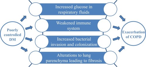 Figure 3 Factors through which poorly controlled diabetes mellitus contributes to increased susceptibility for AECOPD and deterioration of COPD.