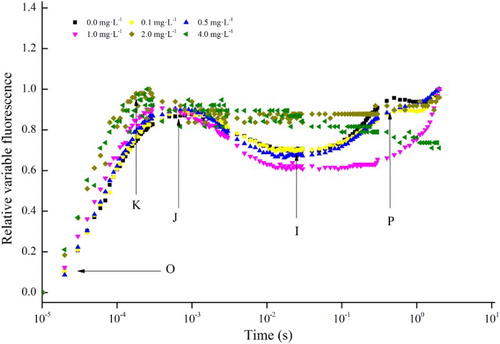 Figure 3. Relative variable fluorescence (OJIP transient curve) of Cylindrospermopsis raciborskii after 48 h of incubation with 0, 0.1, 0.5, 1, 2 and 4 mg L−1 of linoleic acid.