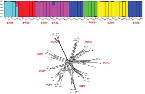 Figure 7. STRUCTURE plot and neighbor-net network of G. pyrenaicum populations based on k = 6 of ISSR data.