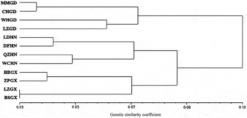 Fig. 4 UPGMA dendrogram of the genetic relationships among 12 subpopulations of Rhizoctonia solani AG-1 IA inferred from a matrix of Nei’s genetic distances. The scale bar at the bottom represents the genetic distance.