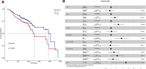 Figure 6 The nine- EMT hallmark gene-based risk score in GSE65858. (A) The Kaplan–Meier curves with the Log rank test of the high- and low-risk groups. (B) The results of the multivariable Cox analysis for the nine-EMT hallmark gene-based risk score (RS) and routine clinical factors. *P < 0.05, and **P < 0.01.