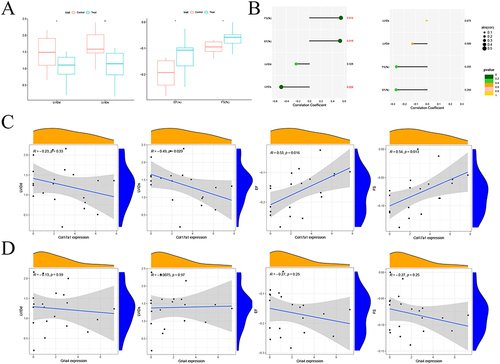 Figure 12 Correlation between the key genes and the clinical data. (A) Box diagram showing LVIDd, LVIDs, LVEF and LVFS in the treatment group vs the control group after 8 weeks of treatment. (B) The correlation between Col17a1, Gria4 and LVIDd, LVIDs, LVEF and LVFS shown by lollipop chart. (C) The correlation between Col17a1 and LVIDd, LVIDs, LVEF and LVFS shown by line chart. (D) The correlation between Gria4 and LVIDd, LVIDs, LVEF and LVFS shown by line chart.