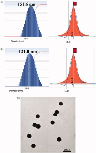 Figure 4. (a) The size and zeta potential of QH NMs. (b) The size and zeta potential of QHMF NMs. (c) TEM images of QHMF NMs.