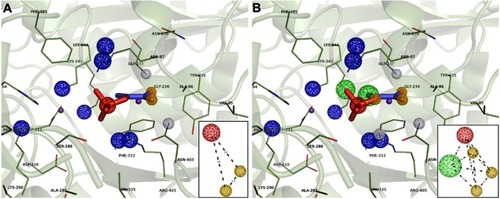 Figure 4 Structure-based pharmacophore hypothesis (PH). Important pharmacophoric features in the active site of HsPEPCK-C in the 1KHF structure are represented in (A) PH1 and (B) PH2. In the insets are the schematic representations of PH1 and PH2 with the distances between features in angstroms (Å). Pharmacophore features are colored according to their characteristic: red=negative ionic, blue=positive ionic, yellow=H-bond acceptor and white=H-bond donor.