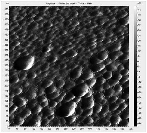 Figure 5. AGAunp AFM scan.