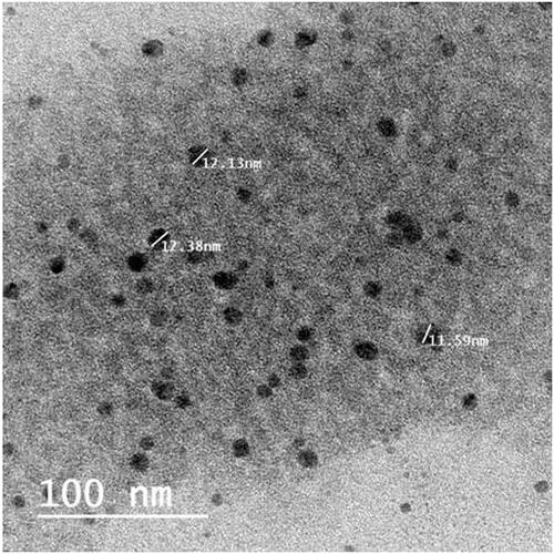 Figure 1. Transmission electron micrograph (TEM) of FXS-SNES.FXS-SNES: febuxostat self-nano-emulsifying system.