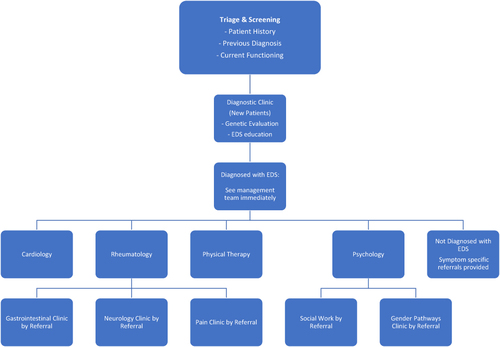 Figure 1 Multidisciplinary EDS clinic flow: original version.