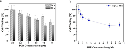 Figure 7 SOR EC50 determination. (a) Free SOR cytotoxic effect at different times (24h and 48h) with different drug concentrations, (b) “Dose – response curve” of the cells treated with different concentrations of SOR after 48h. 100% represents the viability of untreated cells.