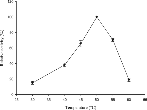 Figure 1. Optimum temperature of enzyme 5′-nucleotidase purified from jumbo squid mantle. Enzyme essay: 40 μL of enzyme extract were taken and mixed with 360 μL of 10 mM AMP in 40 mM sodium citrate (pH 4.5) containing 20 mM MgCl2, 20 mM CaCl2, and 200 mM NaCl. The reaction was carried out for 10 min at 50 °C. Figura 1. Temperatura óptima de la enzima 5′-nucleotidasa purificada de manto de calamar gigante. Ensayo enzimático: 40 μL de extracto enzimático + 360 μL de AMP 10 mM en citrato de sodio 40 mM (pH 4,5) conteniendo MgCl2 20 mM, CaCl2 20 mM y NaCl 200 mM. Diez min de reacción a 50 °C.