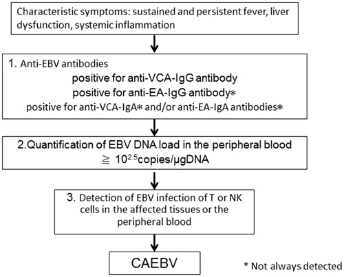 Figure 1. Schematic illustration of the diagnosis of chronic active EBV infection.