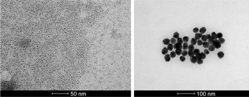 Figure S6 TEM images of CSNPs, scale bar: 50 nm (left) and SNPs scale bar: 100 nm (right).Abbreviations: CSNPs, colloidal silver nanoparticles; SNPs, silver nanoparticles; TEM, transmission electron microscopy.