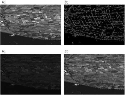 Figure 24. A) Original clean Sentinel-1 Lelystad image. Credits image: Dalsasso et al. (Citation2021) b) Pseudo ground-truth. Credits image: Liu et al., (Citation2020) c) 1-look speckled image. d) Denoised 1-look image.