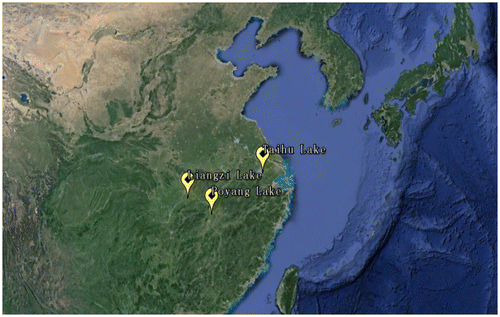 Fig. 1. The map of the locations of samples collected of C. alburnus individuals.