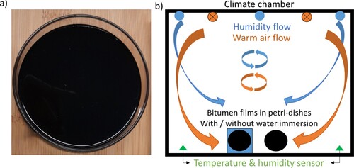 Figure 1. (a) Bitumen film of 1 mm in a petri-dish, (b) Climate chamber setup.